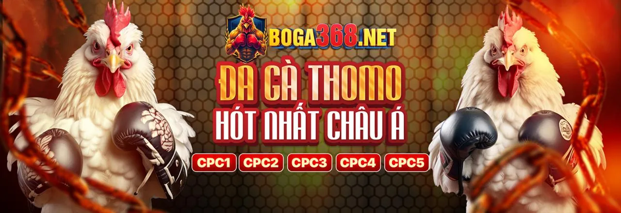 Cá cược thể thao tại cá cược 88